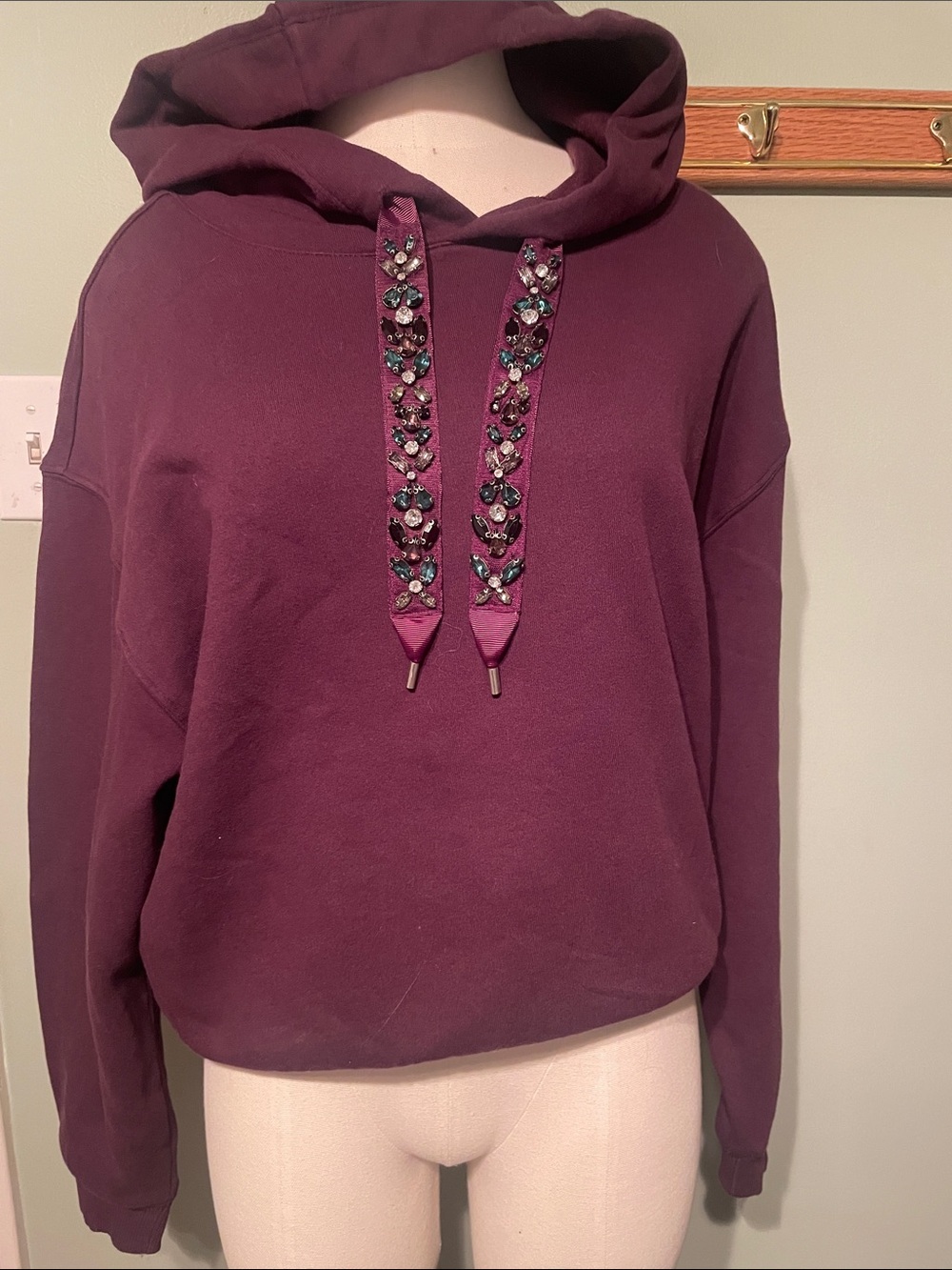 Express Plum Embellished Hoodie with Jeweled Drawstrings